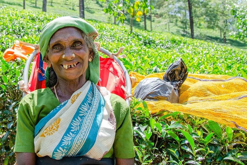 Sri Lanka : l’horreur au nom de l’intégrisme s’abat au pays des éléphants…