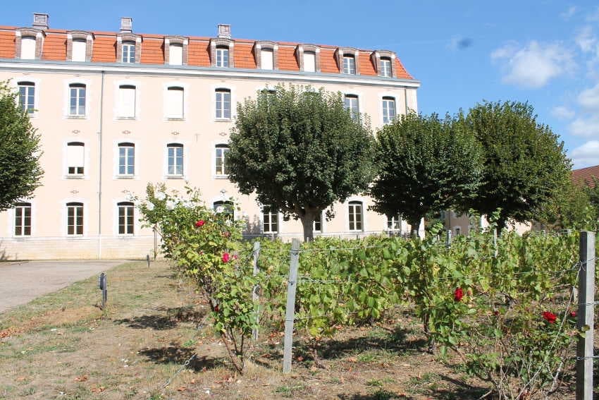 La première cuvée de ratafia produite au lycée VAUBAN se dégustera dès 2019…