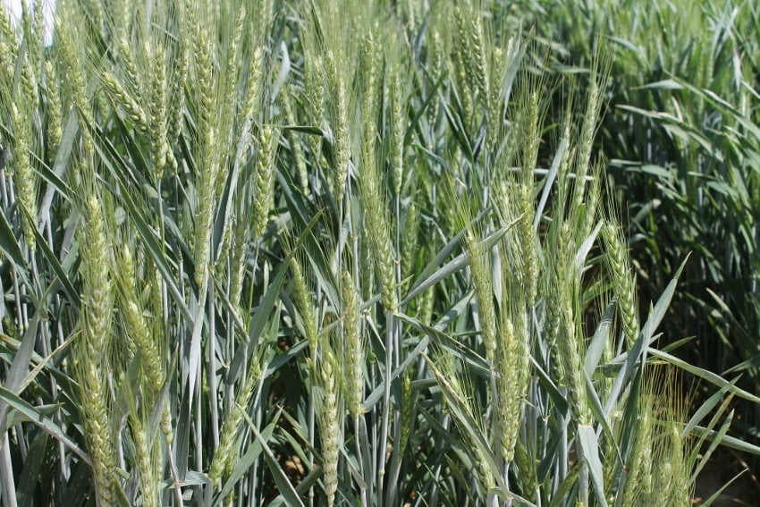 Les bienfaits de l’agroécologie se dévoilent grâce à des portes ouvertes initiées en Bourgogne Franche-Comté