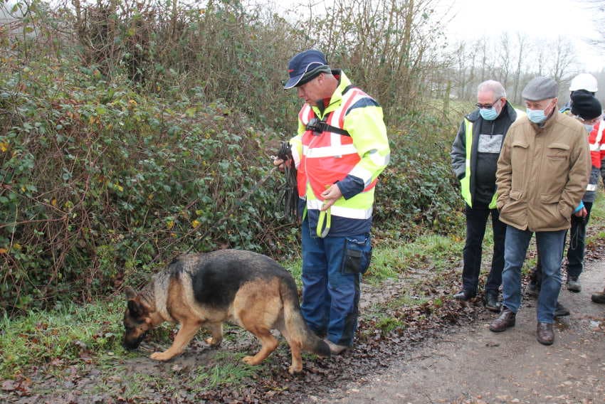 VEOLIA a du flair pour la recherche des fuites sur le réseau d’eau potable : des chiens assurent ce dépistage 100 % RSE