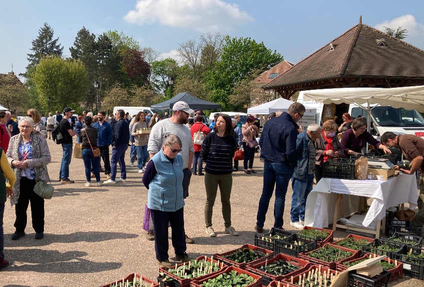 Un « P’tit Marché » bien dans l’esprit de l’économie en circuit court à découvrir à Monéteau