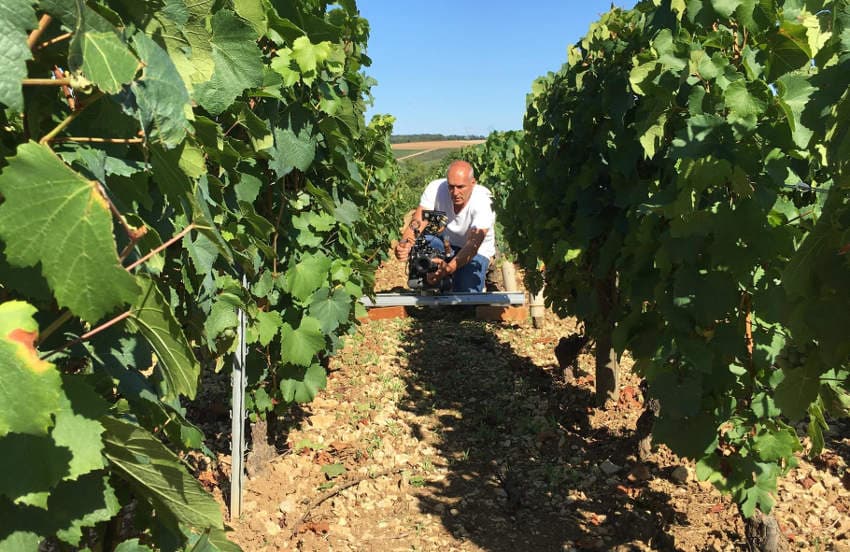 Projection de « Ligne de Vignes » et nouvelle cuvée : le Domaine FERRARI partage les fruits de sa passion…