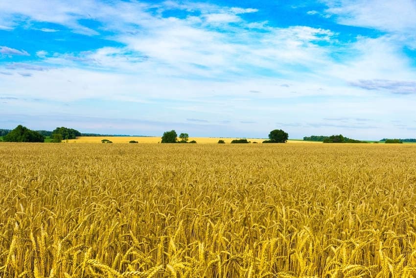 Retour d’expérience depuis l’Ukraine avec le Crédit agricole : à la découverte de nouvelles potentialités