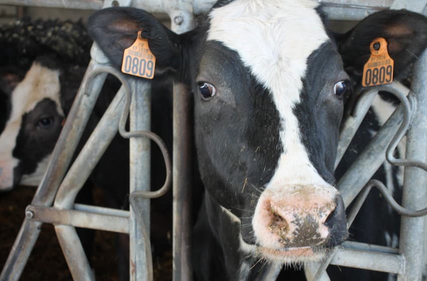 Solidarité Paysans en conférence : le monde agricole, uni comme les cinq doigts de la main, s’intéresse à l’entraide…