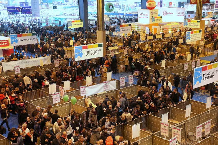 Bonjour veaux, vaches, cochons…, l’agriculture réinvestit la capitale et tient salon jusqu’au 06 mars prochain