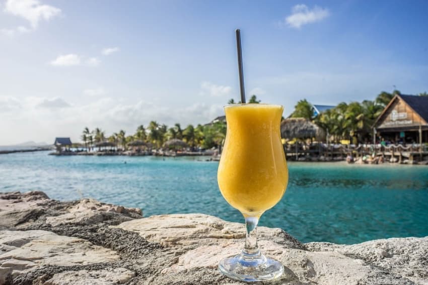 Pôle Emploi a organisé leur recrutement : neuf Icaunais grossissent l’effectif du Club Med...