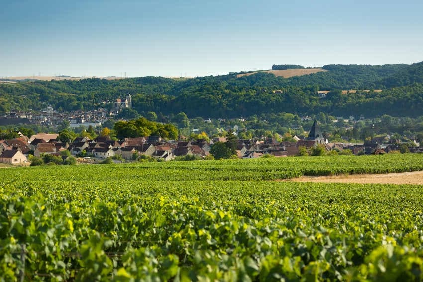 Trois nouveaux prestataires touristiques de l’Yonne obtiennent le label « Vignobles & Découvertes »