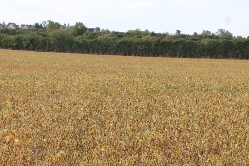 Le coup de pouce du département aux agriculteurs : le dispositif de cumul financier s’élargit…