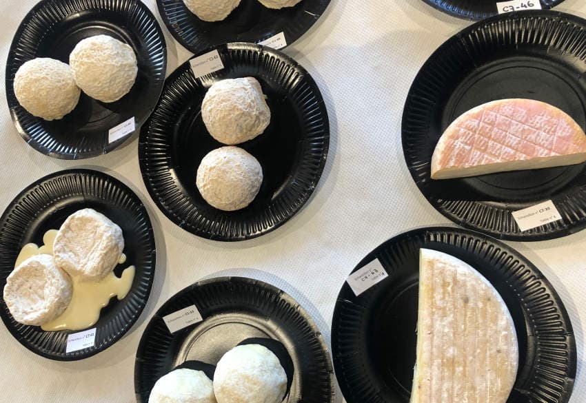Les fromagers fermiers de l’Yonne trustent les médailles au concours régional : que la moisson fut belle !