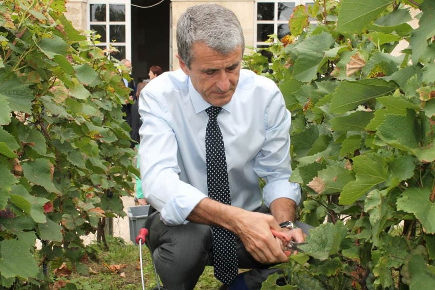 Des vendanges synonymes de détente et de convivialité à la préfecture…