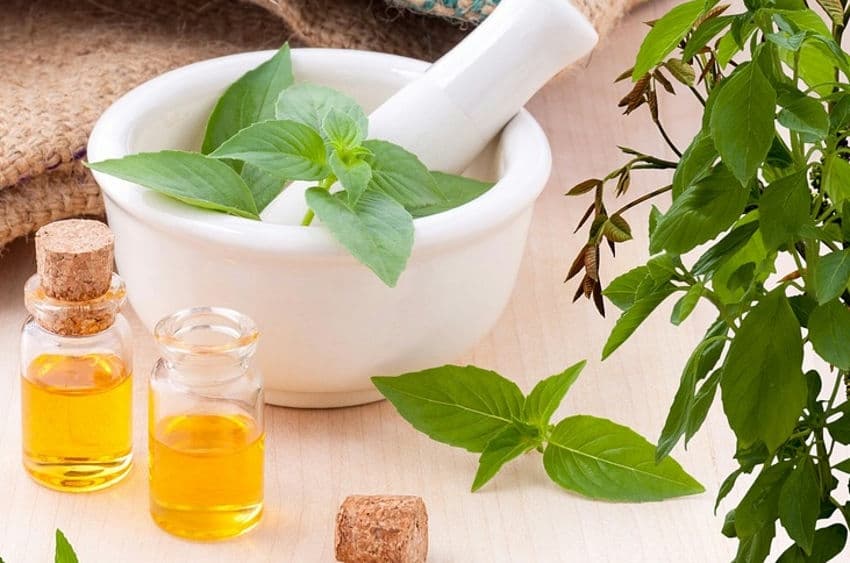 Hibernation ou motivation : se préparer avec l’aide d'huiles essentielles…