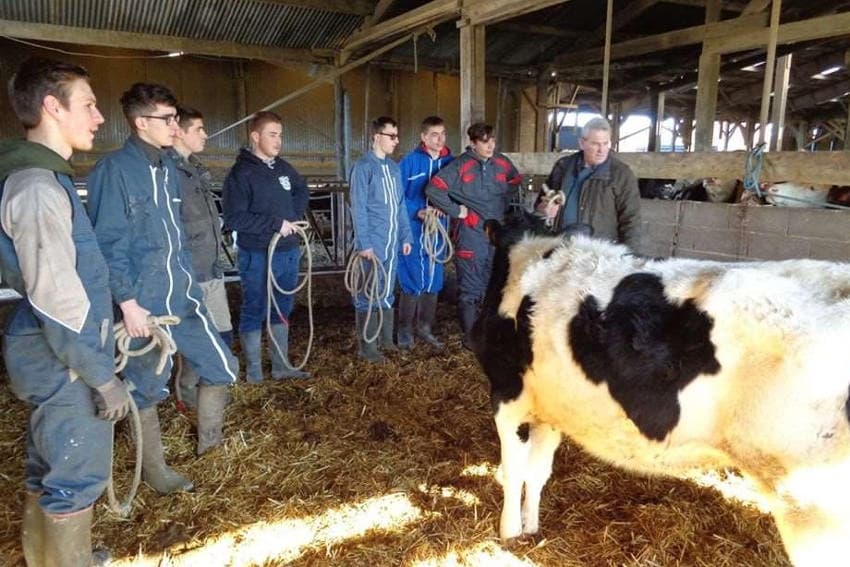 Maillon naturel de la pédagogie agricole : le CFA des Terres de l’Yonne accède à plus de visibilité et d’attractivité…