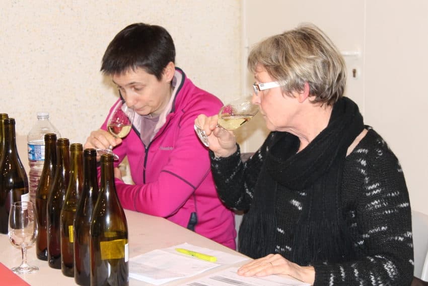 Sélection du Concours général agricole : 81 viticulteurs du terroir dans les starting-blocks !