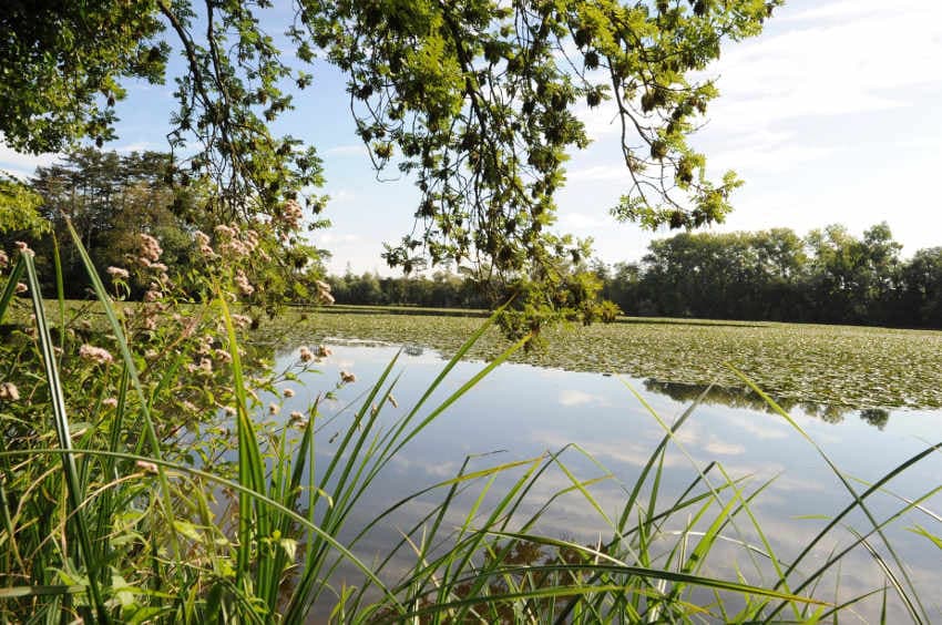 Une histoire d’eau à l’avenir préoccupant en conférence : la préfecture encourage la gestion raisonnée de la ressource