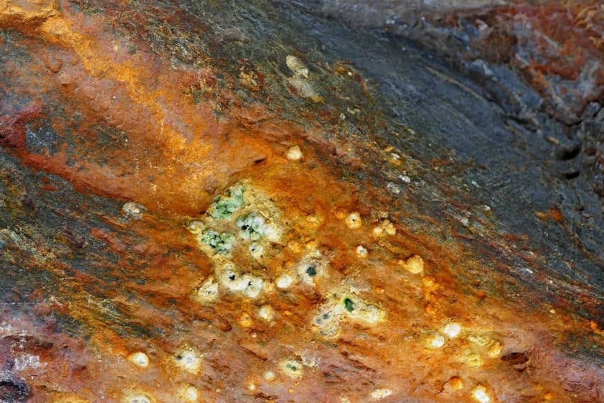 Des « CouleurS RupestreS » rappelant la naissance de l’univers : l’œil alchimique de Liliane PECHENOT a fait le reste !