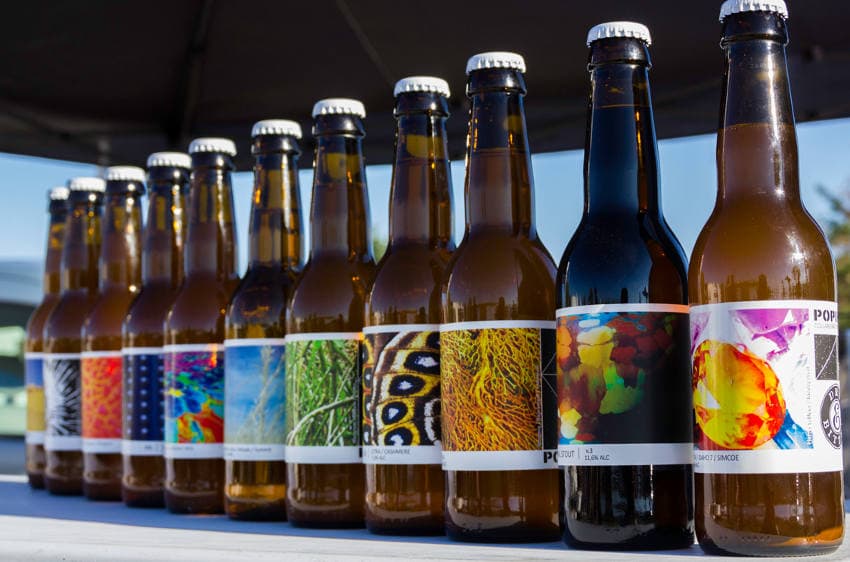 Des retrouvailles attendues à Egriselles-le-Bocage : HORIZON procède à la « mise en bière » de la morosité !