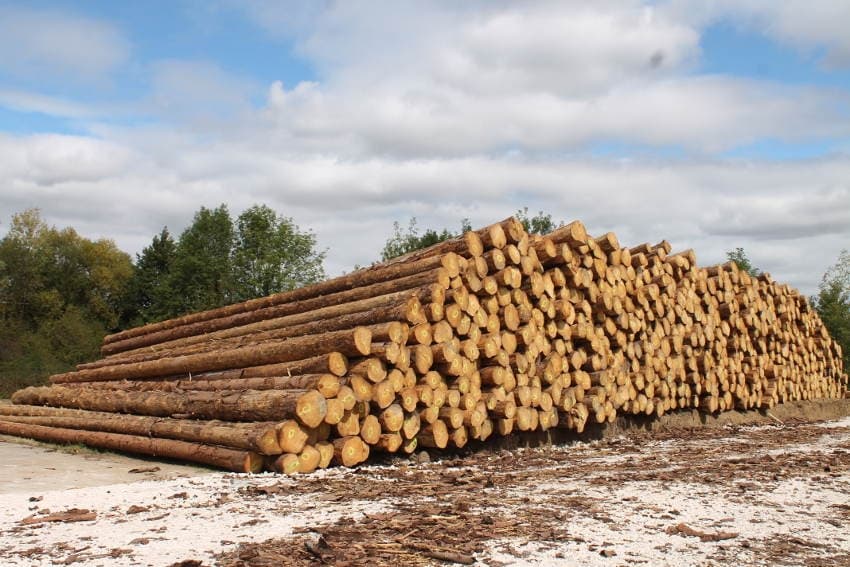 Yonne : les exportations vers l’Asie s’envolent au second trimestre…