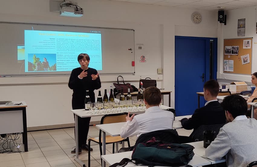 Du terroir au fond du verre : le vignoble Chablisien se déguste aussi pour les étudiants du BTS Commerce international