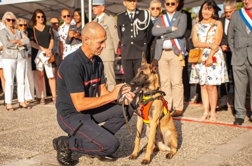 Des troupes, un drone et puis un chien... : une prise d’armes du 14 Juillet placée sous le sceau de l’éclectisme à Auxerre