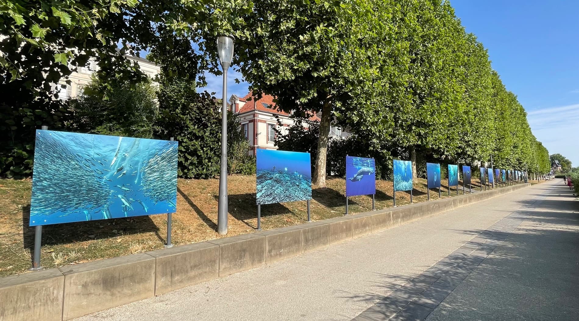 Admirer les fonds marins le long de l’Yonne