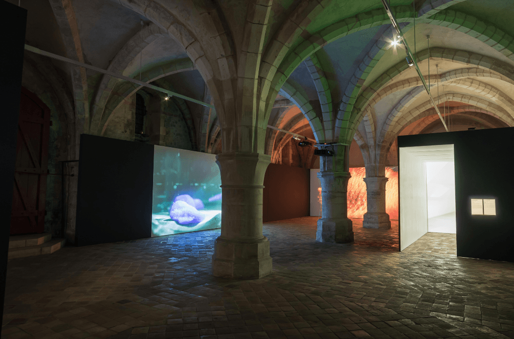 À Auxerre, la mer comme miroir de l'âme