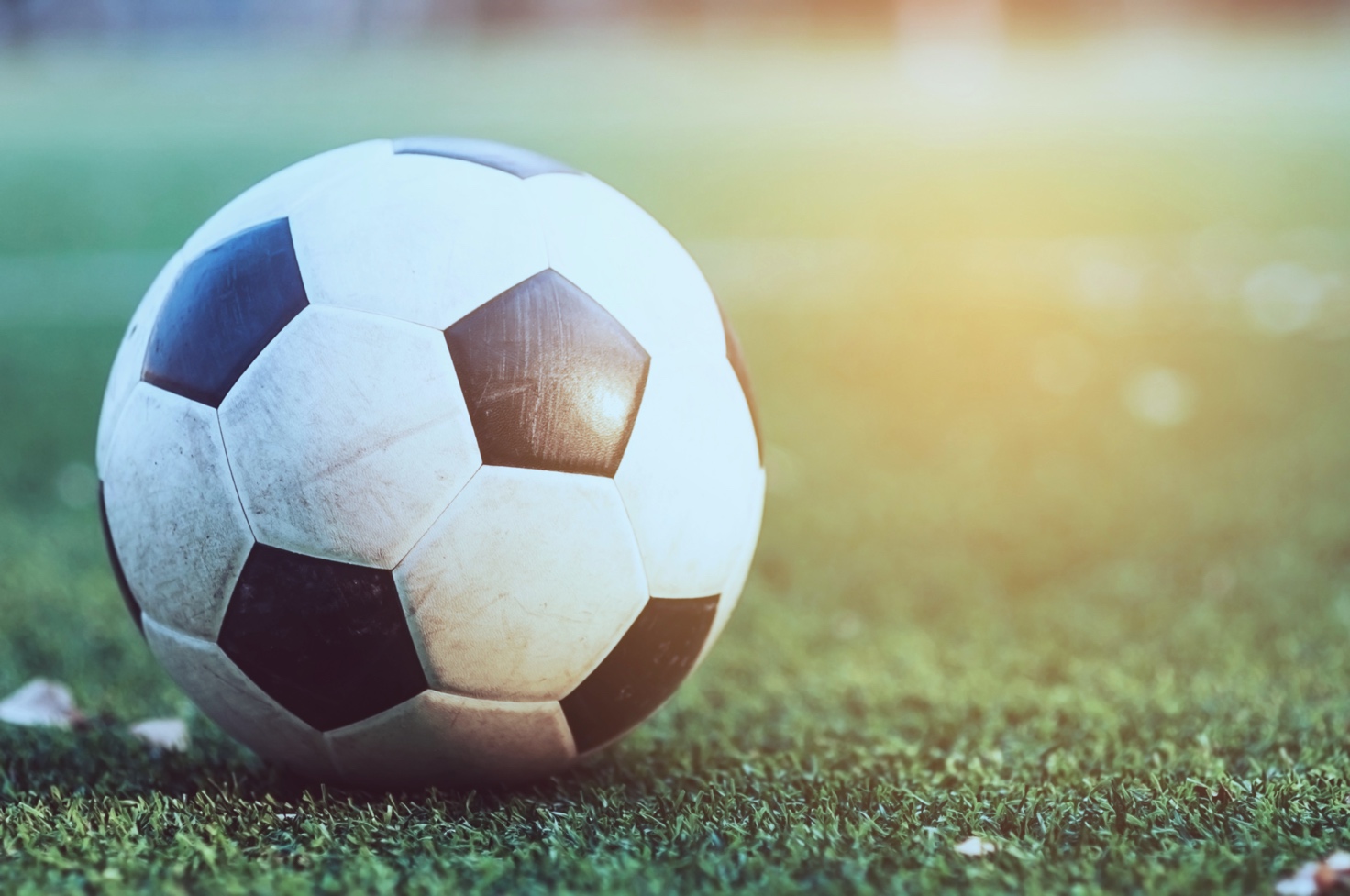 Une image contenant balle, football, herbe, équipement sportif

Le contenu généré par l’IA peut être incorrect.