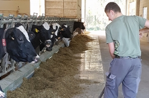 &quot; L’immersion en milieu agricole, loin de leur base arrière, motive les élèves de la MFR de VILLEVALLIER…&quot;.