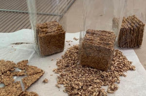 « Entre la brasserie FAYYAR et PYNEAU PRUNUTZ, c’est l’entente culinaire parfaite ! Les deux entreprises de l’Yonne présenteront le fruit de leur collaboration ce jeudi 01er octobre lors du lancement d’une nouvelle gamme de crackers à la farine de drêches. Le résidu de malt que souhaitait recycler les brasseurs de Saint-Bris… ».