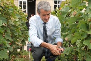 « Le préfet de l’Yonne Patrice LATRON a rempli sa tâche de « vendangeur » avec méticulosité lors de cette manifestation des plus souriantes. Les représentants des forces de l’ordre se sont pliés également au même exercice…quelque peu inhabituel ! ».