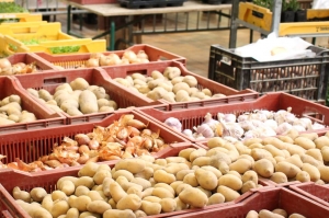 « Le mercredi 20 mai, la Chambre d’agriculture de l’Yonne renouera avec les conférences de presse en présentiel afin de dévoiler les dessous de son nouvel outil numérique : « J’veux du local 89 ». Un site qui fera très certainement des adeptes en identifiant les acteurs des circuits courts… ».