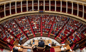 « Faut-il en finir avec la technocratie qui régit ce pays alors que s’amoncellent devant nous d’inéluctables enjeux sociétaux ? Redonner ses droits à la démocratie et aux parlementaires est l’une de ses solutions qui pourrait remettre la France sur le bon chemin… ».