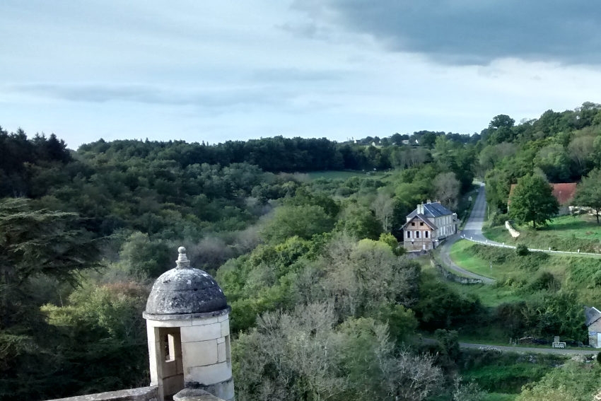 « Soutenant depuis dix-huit mois les professionnels de la filière, la Chambre économique de l’Avallonnais s’est rapprochée de plusieurs acteurs institutionnels à l’instar de la DIRECCTE et de la CCI de l’Yonne pour concevoir une réalisation filmographique sur le marché du bois. Ce film devrait être ensuite diffusé via les réseaux sociaux et relationnels des partenaires associés à sa conception… ».