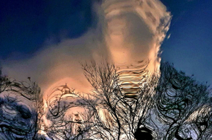 « Vue surprenante d’Auxerre sous les flots et cliché éthéré qui plonge le spectateur dans l’abstrait : bienvenue dans le monde aquatique de Liliane PECHENOT, une photographe d’art qui nage dans sa discipline comme un poisson dans l’eau ! ».