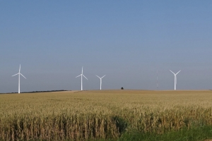 « La collecte est ouverte depuis le 05 janvier et se déroulera jusqu’au 15 février inclus : EDF Renouvelables sollicite les investisseurs particuliers de l’Yonne et de ses voisins qui souhaiteraient apporter leur caution au développement de l’énergie propre en zones rurales…comme dans le parc du Télégraphe près de Vermenton ».