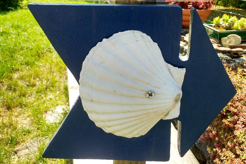 « Retrouver le contact avec la Terre, la nature et l’environnement aura été la quintessence de cette aventure originale vécue par le chef d’entreprise de l’Yonne. Se parler à voix haute, écouter son corps, s’extraire des contraintes alimentaires habituelles…autant de petits plaisirs qui peuvent changer le mental et l’esprit d’un homme en quête de lui-même… ».