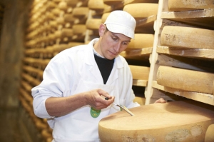 « La filière de la crémerie/fromagerie concerne plus de 3 200 entreprises dans l’Hexagone. Paradoxalement, les cursus menant à cette profession ne sont pas monnaie courante en France. Le CIFA de l’Yonne a décidé de remédier à cela en créant dès septembre 2019 un CAP spécifique à ces métiers de la filière de valorisation des produits laitiers… ».