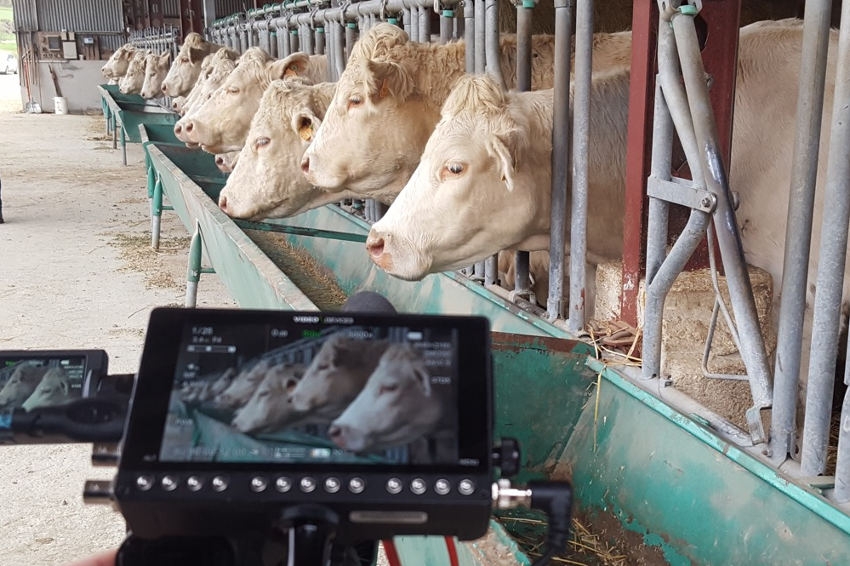 « En utilisant un support audiovisuel, la MSA Bourgogne entend alerter ses partenaires institutionnels et associatifs sur les difficultés vécues à l’heure actuelle par bon nombre de professionnels de l’agriculture. Quatre réunions départementales permettent de mieux évoquer le panel de préconisations mis en place pour soutenir une filière en crise depuis plusieurs années… ».