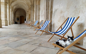 « Et pourquoi pas un petit somme salvateur à l’image de ce chat sur les transats de l’Abbaye Saint-Germain à Auxerre avant de découvrir l’exceptionnelle exposition qui est consacrée aux œuvres d’art contemporain du Centre Pompidou, accueillies tout l’été (et même plus) en ce lieu patrimonial… ».