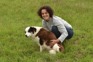 « Une activité en lien avec la nature et dans le respect des animaux à découvrir en Puisaye-Forterre : le parc de chiens de traîneau géré par Julia REDON. Pour le plaisir des petits comme des plus grands… ».
