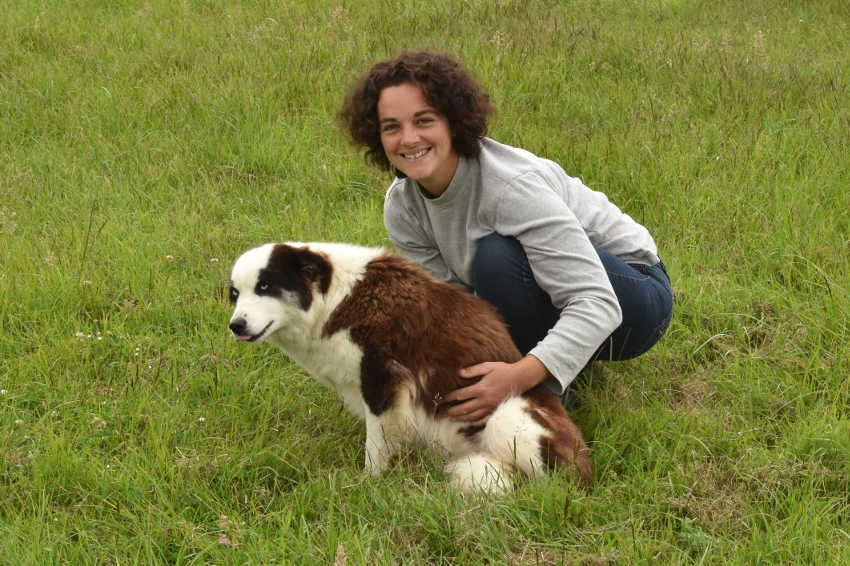 « Une activité en lien avec la nature et dans le respect des animaux à découvrir en Puisaye-Forterre : le parc de chiens de traîneau géré par Julia REDON. Pour le plaisir des petits comme des plus grands… ».
