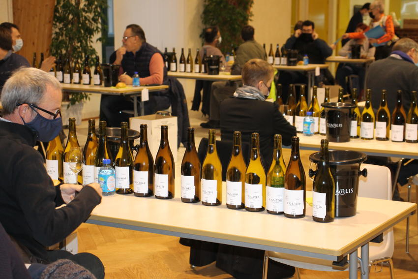 250 échantillons de vins dégustés lors de la pré-sélection : l’Yonne prend date avec le Concours général agricole