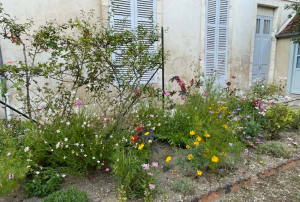 « La Journée du Patrimoine offre l’excellente opportunité pour les férus de belles demeures de découvrir le cadre bucolique de la Maison de Marie Noël, la Maison des Illustres, ce samedi 21 septembre à Auxerre… ».