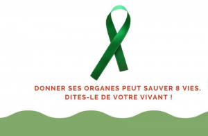 « Avec le Ruban vert, France ADOT a élaboré un véritable plaidoyer destiné à informer tout citoyen sur cet acte altruiste pouvant sauver des vies à tout âge. L’objectif de la structure associative (et d’autres) est de développer une véritable culture du don d’organes en France. En sensibilisant et en convaincant le plus grand nombre de Français comme lors de la Journée nationale ayant lieu le 22 juin… ».