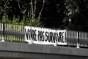  « Plusieurs banderoles ont été déployées sur les ponts qui enjambent l’autoroute A 6 entre les échangeurs de Courtenay et de Joigny-Sépeaux. L’Assemblée Populaire d’Auxerre (APA 89) ne souhaite pas le retour à l’anormal après la sortie de crise et le fait savoir… ».
