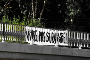 « Plusieurs banderoles ont été déployées sur les ponts qui enjambent l’autoroute A 6 entre les échangeurs de Courtenay et de Joigny-Sépeaux. L’Assemblée Populaire d’Auxerre (APA 89) ne souhaite pas le retour à l’anormal après la sortie de crise et le fait savoir… ».