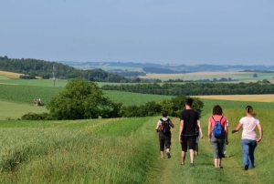 « L’association des Petits Princes profitera pleinement de la générosité des participants de cette nouvelle édition des « Balades solidaires » 2018. Grâce à GROUPAMA Paris Val de Loire et les dix caisses locales de l’Yonne, la structure qui souhaite réaliser les rêves des enfants atteints de lourdes pathologies récoltera plus de 5 000 euros à l’issue de cette animation populaire… ».