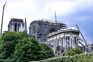 « Le 15 avril 2019, les flammes d’un terrible incendie ont détruit la charpente et la flèche de la cathédrale Notre-Dame de Paris. Le monument érigé en 1163 s’est vu amputé de son symbole le plus visuel. La filière Groupama Immobilier devrait lui redonner une cure de jouvence grâce à ce don de chênes issus de son patrimoine foncier… ».