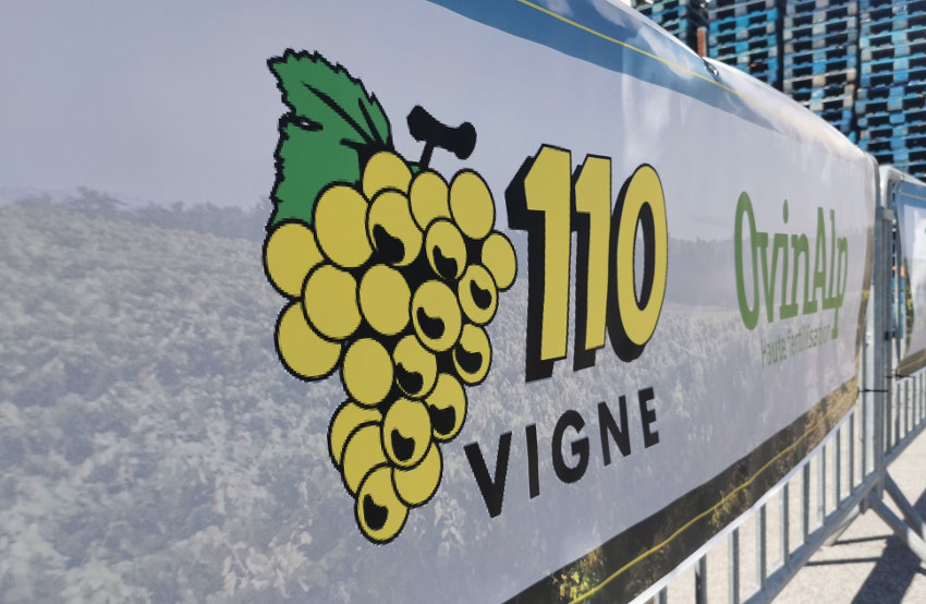 PHYTO Service s’ajoute à son escarcelle : la coopérative 110 Bourgogne se renforce côté viticulture dans l’Yonne