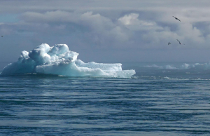 « La fonte de la banquise accélère l’élévation des températures de l’atmosphère, surtout des mers et océans… ».
