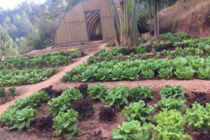 « Le montant des soutiens attribués se situera dans une fourchette de 3 000 à 15 000 euros : la Fondation Groupe EDF a décidé d’encourager les associations de Bourgogne Franche-Comté en lançant un appel à projets à hauteur de 60 000 euros. Domaines visés : l’environnement, l’éducation et l’inclusion… ».